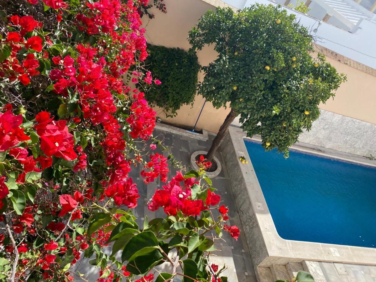 Casa Palacio Anima Jerez de la Frontera Eksteriør billede